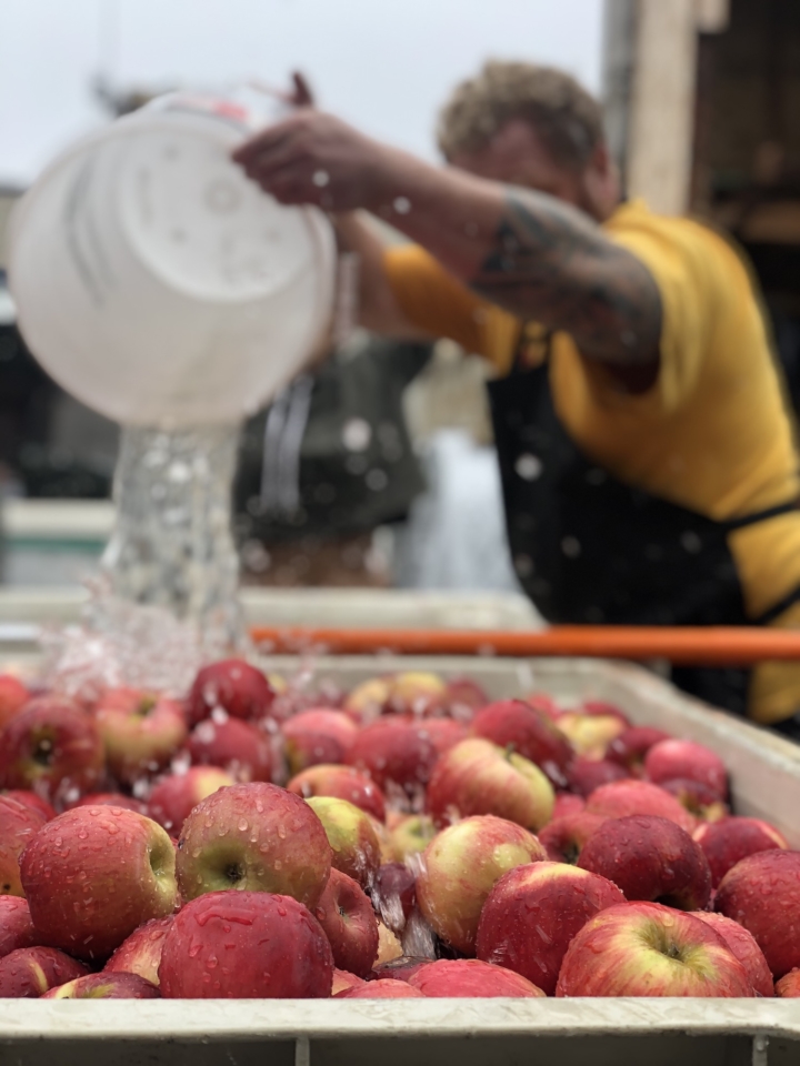 Blindwood Cider maker Drew Gable. Photo: Blindwood Cider